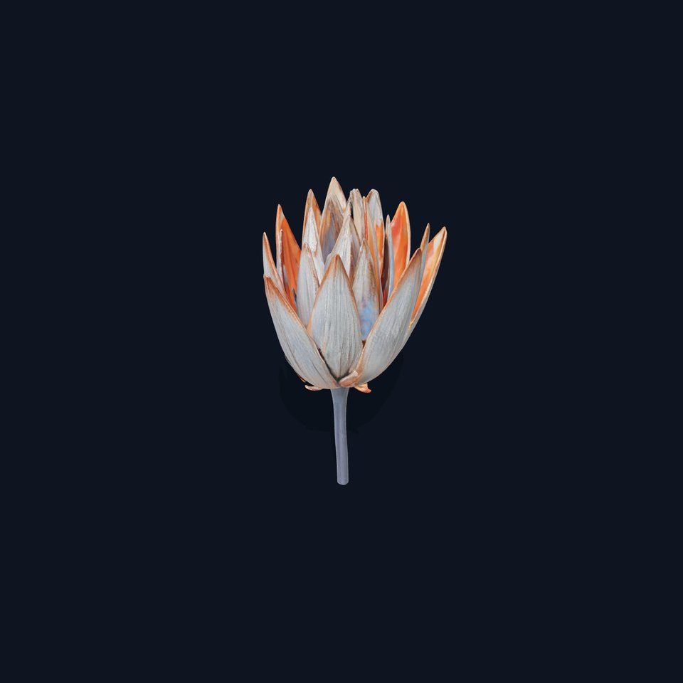 Futuristic Metal Flower Model Pack